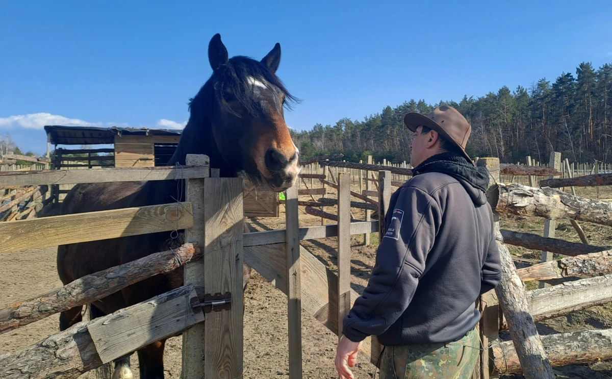 Гелік – кінь породи Новоолександрівська ваговознa. За лагідну вдачу господар кличе його котярою