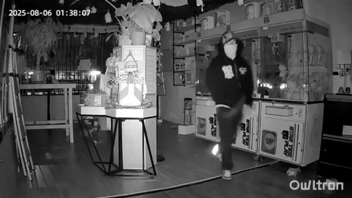 В США игрушки настолько популярны, что в Лос-Анджелесе ограбили специализированный магазин