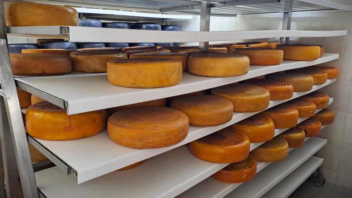 В начале большой войны хозяйство не могло поставлять молочные продукты в Киев, поэтому начало производить больше сыра