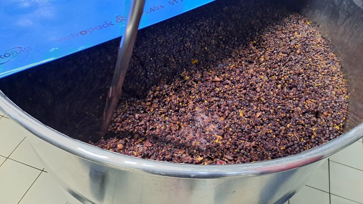 Для виробництва медової горілки Зелениця використовує мед з власної пасіки