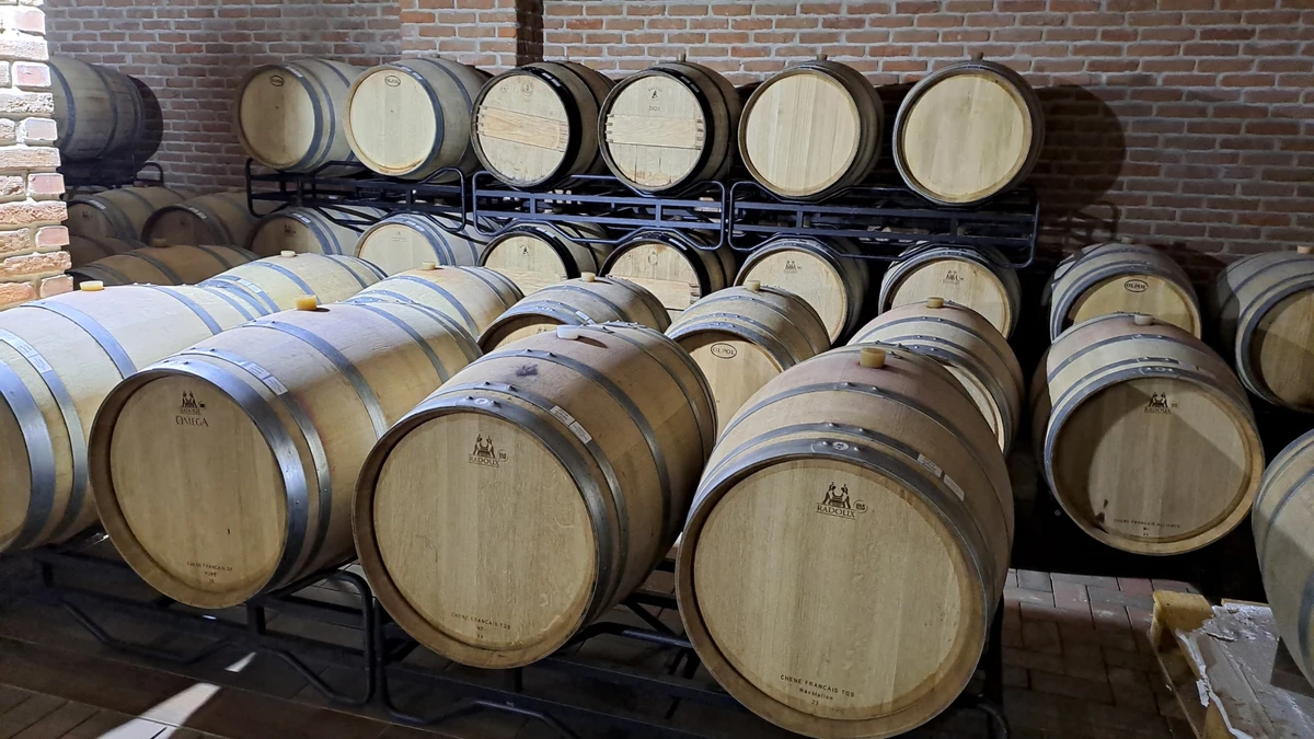 Підвал – святая святих виноробні, тут витримуються вина та проводяться дегустації