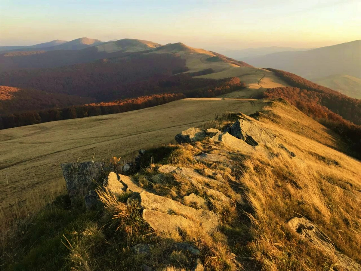 Острый гребень Верховинского Водораздельного хребта напоминает хребет дракона. Здесь сконцентрировано многообразие видов, которые охраняются украинским и международным законодательством.