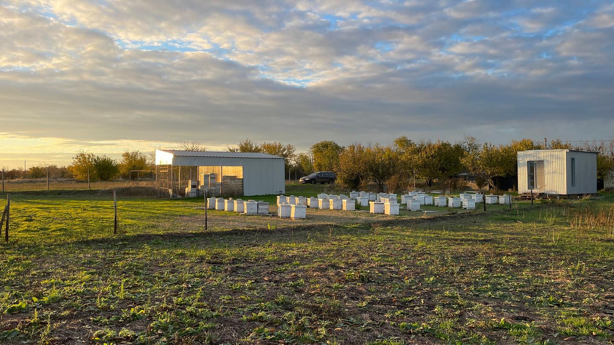 Пасіка. Фото з соцмереж fedffarm