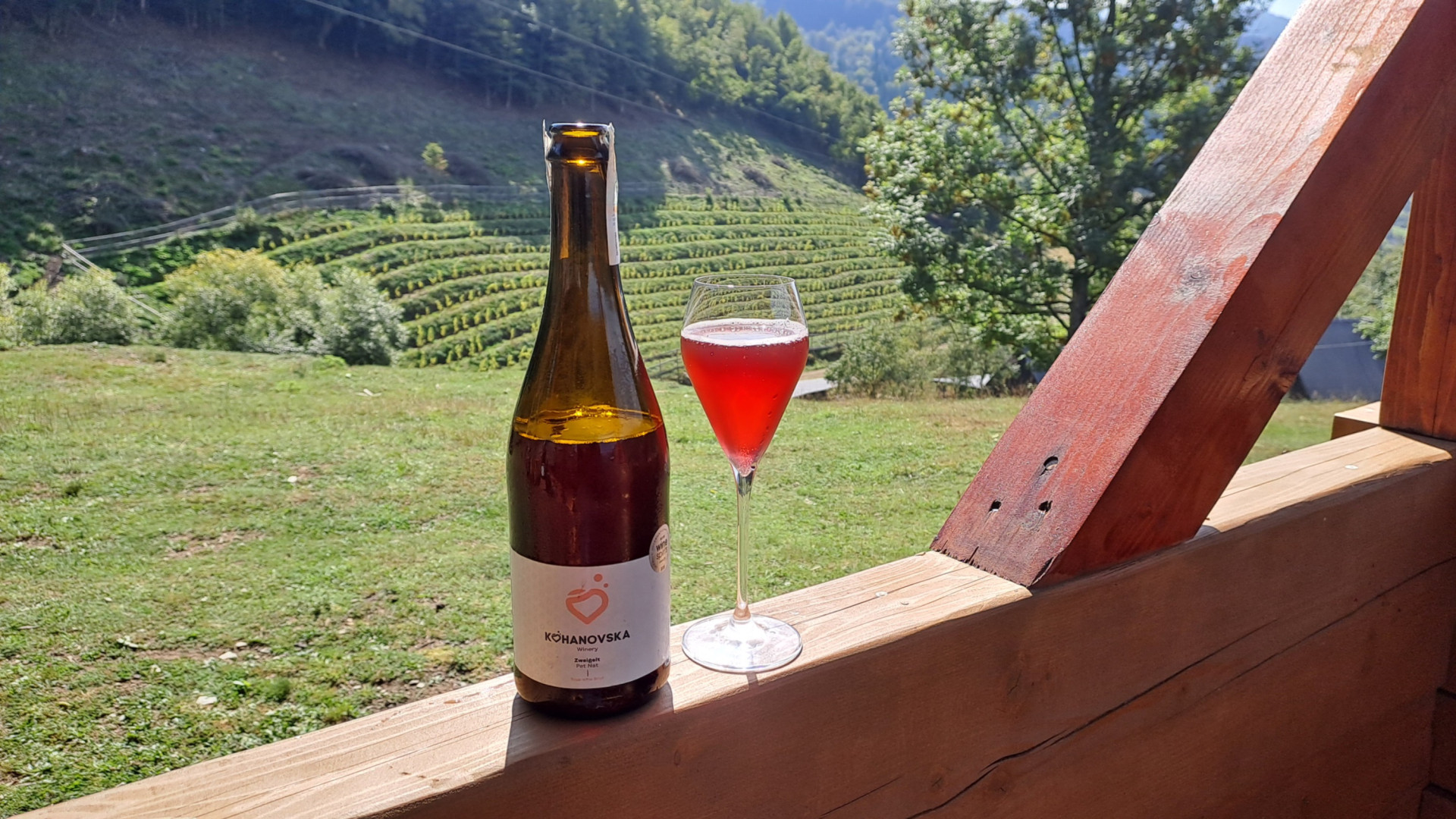 Kohanovska Winery виробляє моносортові та купажовані петнати