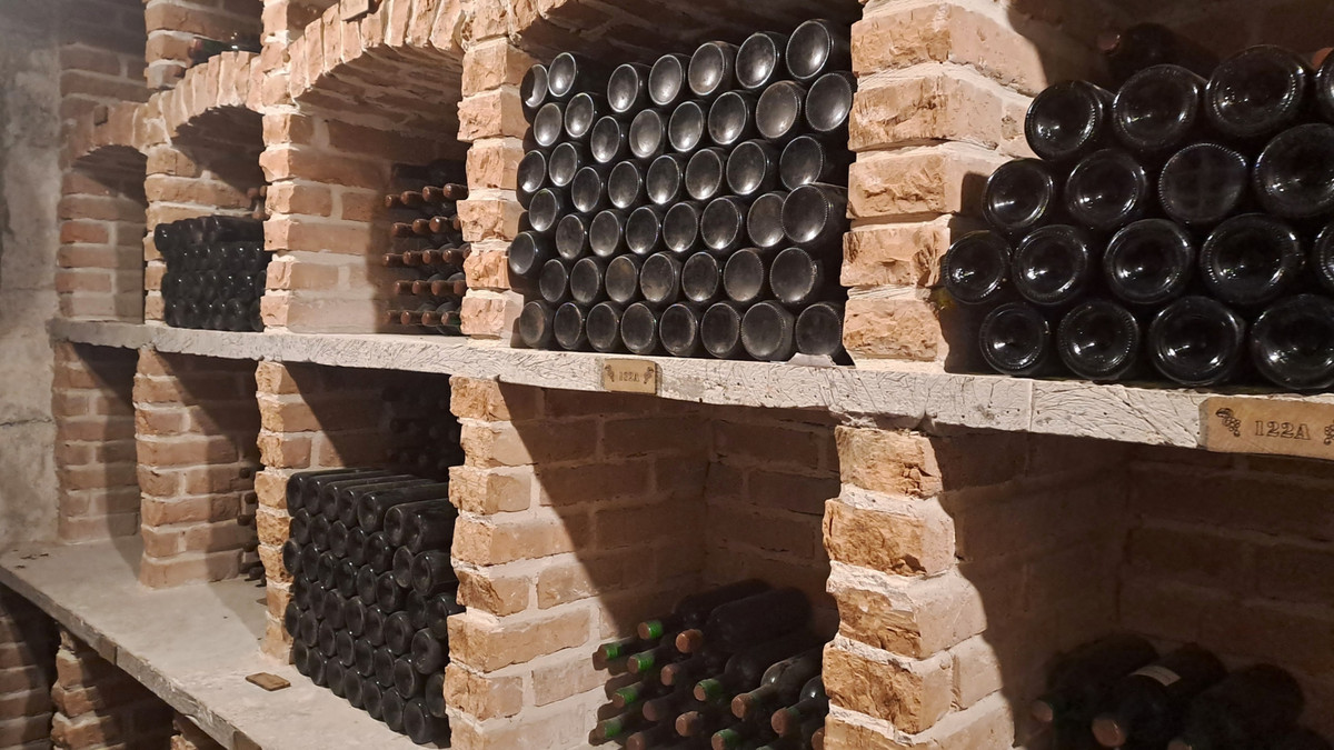 В начале большой войны погреб стал пристанищем для сотрудников экопарка