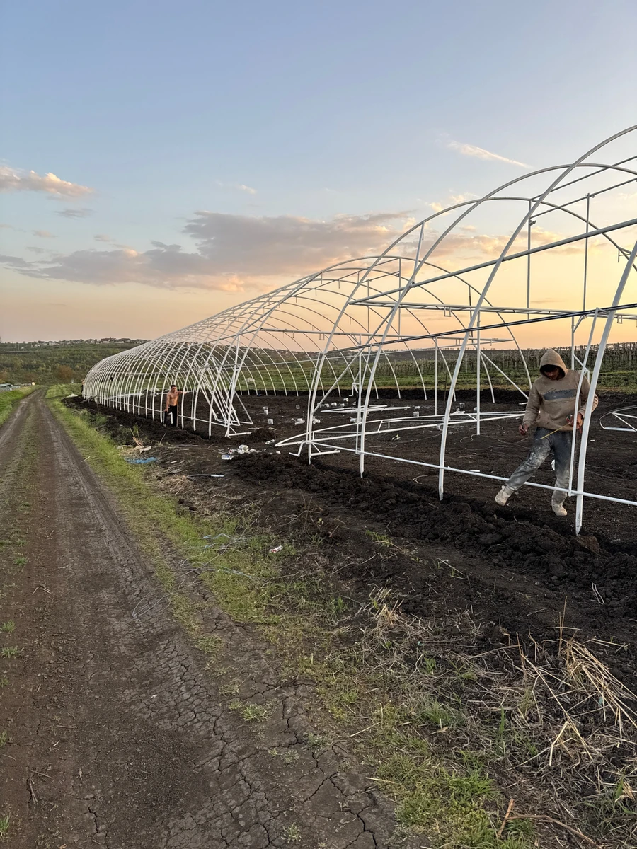 Процесс сбора теплицы