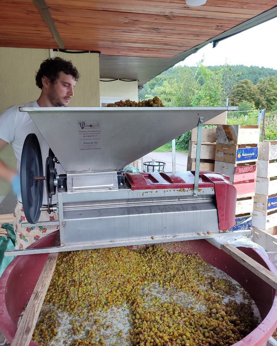 У саджанці та обладнання винороби інвестують кошти, зароблені на основній роботі