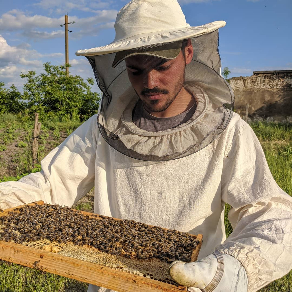 Яків з бджолами. Фото з соцмереж fedffarm