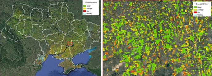 Стан посівів озимих культур в регіонах України